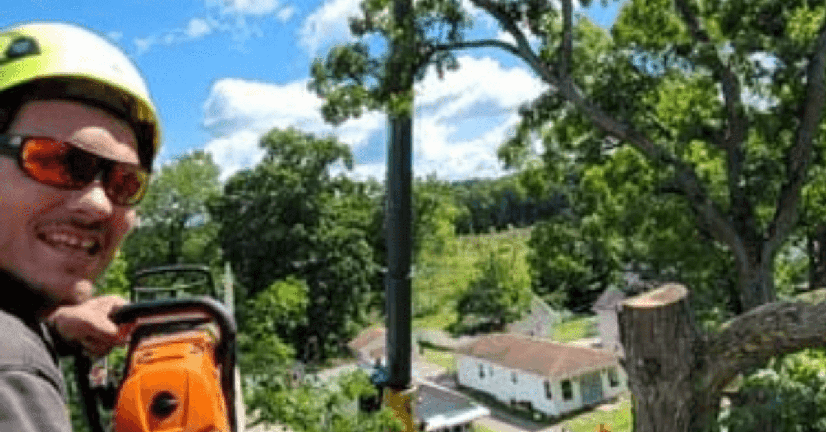 An arborist safely prunes a large tree at a residential property in Battle Creek, MI.