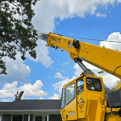 Arborist trimming a large oak tree in Kalamazoo, MI