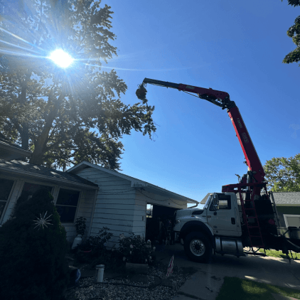 Tree trimming crew working in a residential yard in Portage, MI