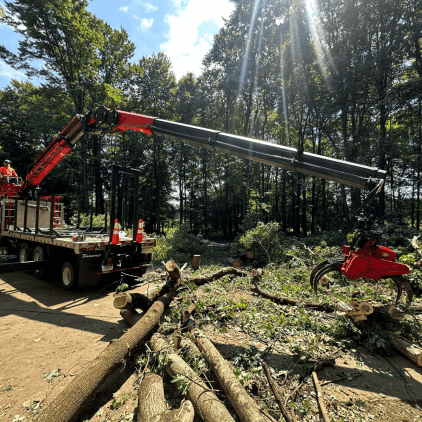 Tree service crew performing storm cleanup near Kalamazoo home