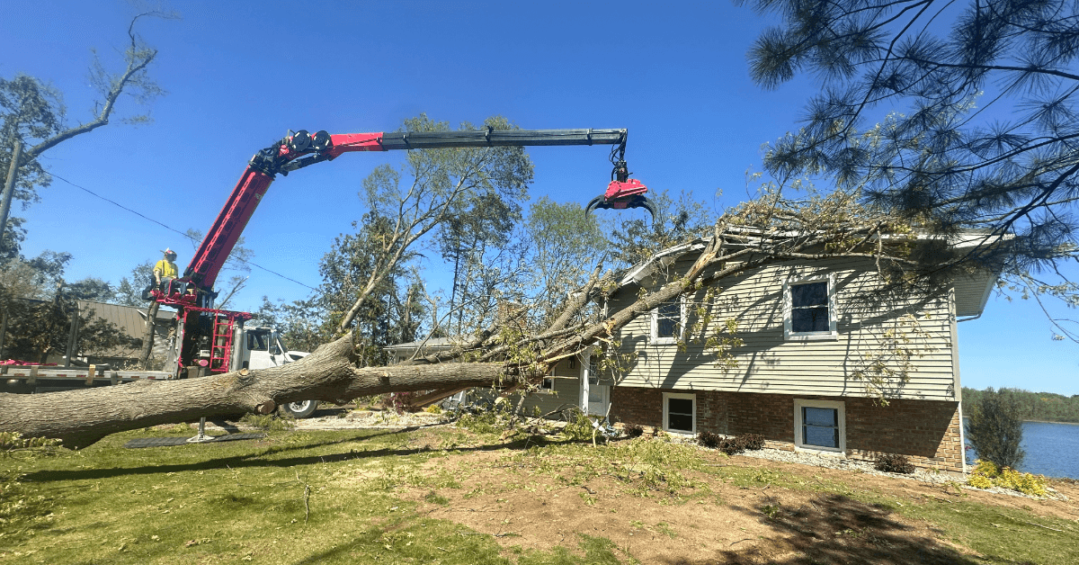 24/7 Emergency Tree Service for Storm Damage & Fallen Trees