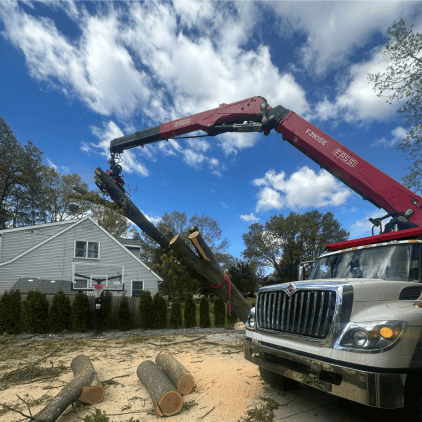Crane-assisted tree removal on residential property in Battle Creek