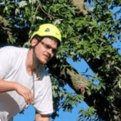 Arborist installing a tree bracing system in Battle Creek, Calhoun County, MI, to strengthen trees before storm season.