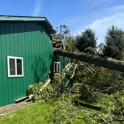 A fallen tree crushed a Kalamazoo home after a storm