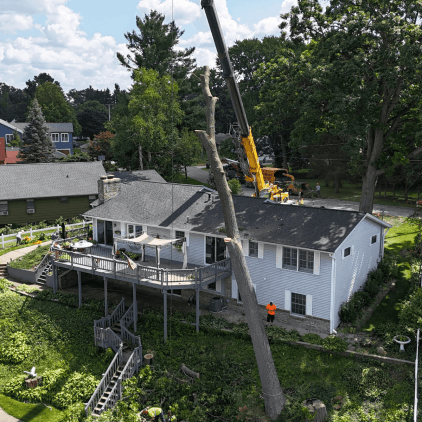 Stump grinding equipment clearing backyard stump in Calhoun County