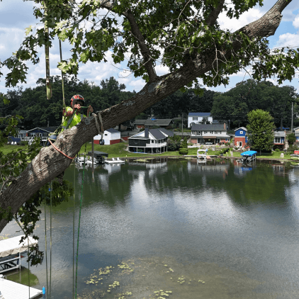 Tree removal service clearing lot for new construction in Calhoun County