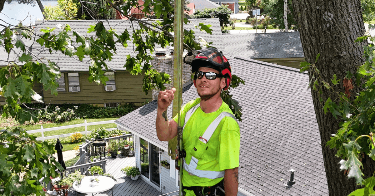 Certified arborist from Brawner’s Tree Service inspecting and pruning trees in Calhoun County, MI, for winter storm preparation.