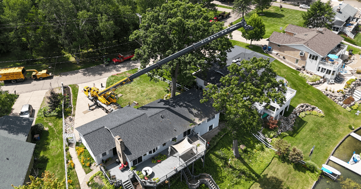 Tree Service Company