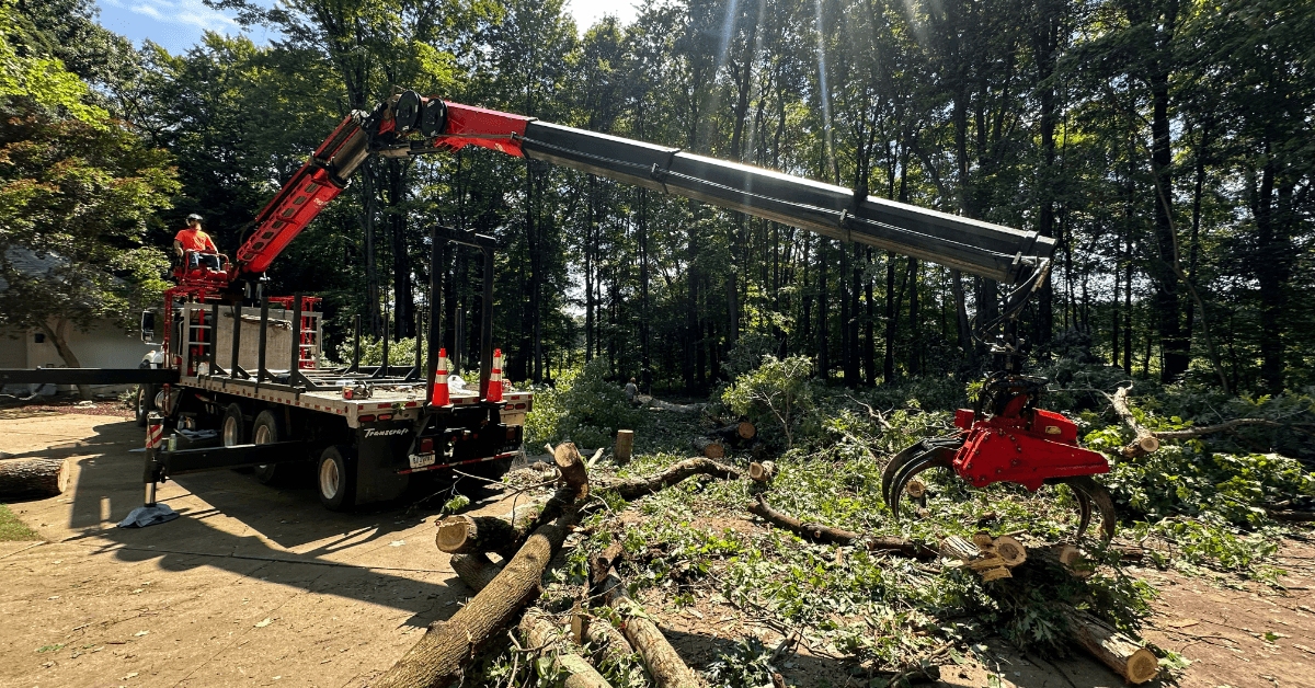 Certified arborist removing a tree near a Kalamazoo home