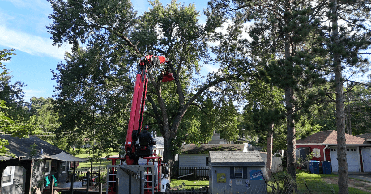 Tree Trimming Around Kalamazoo and Calhoun County, MI