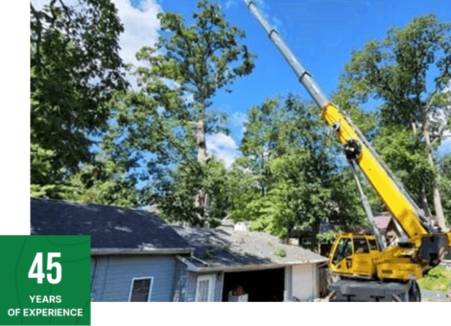 about brawner's tree service