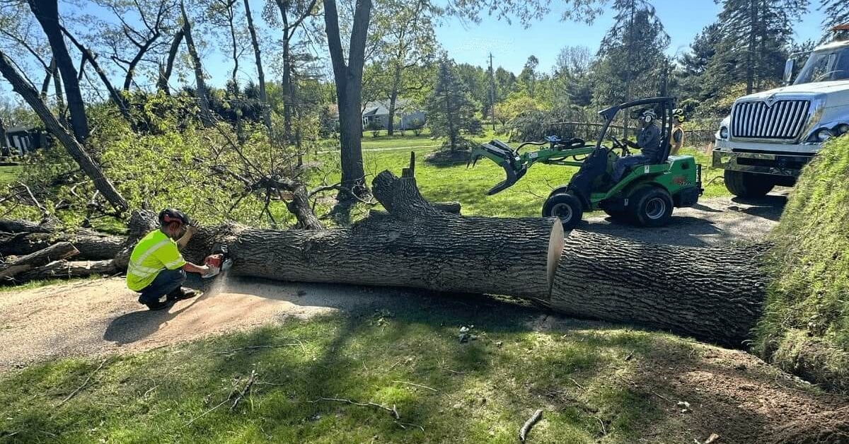 Tree Removal Kalamazoo MI