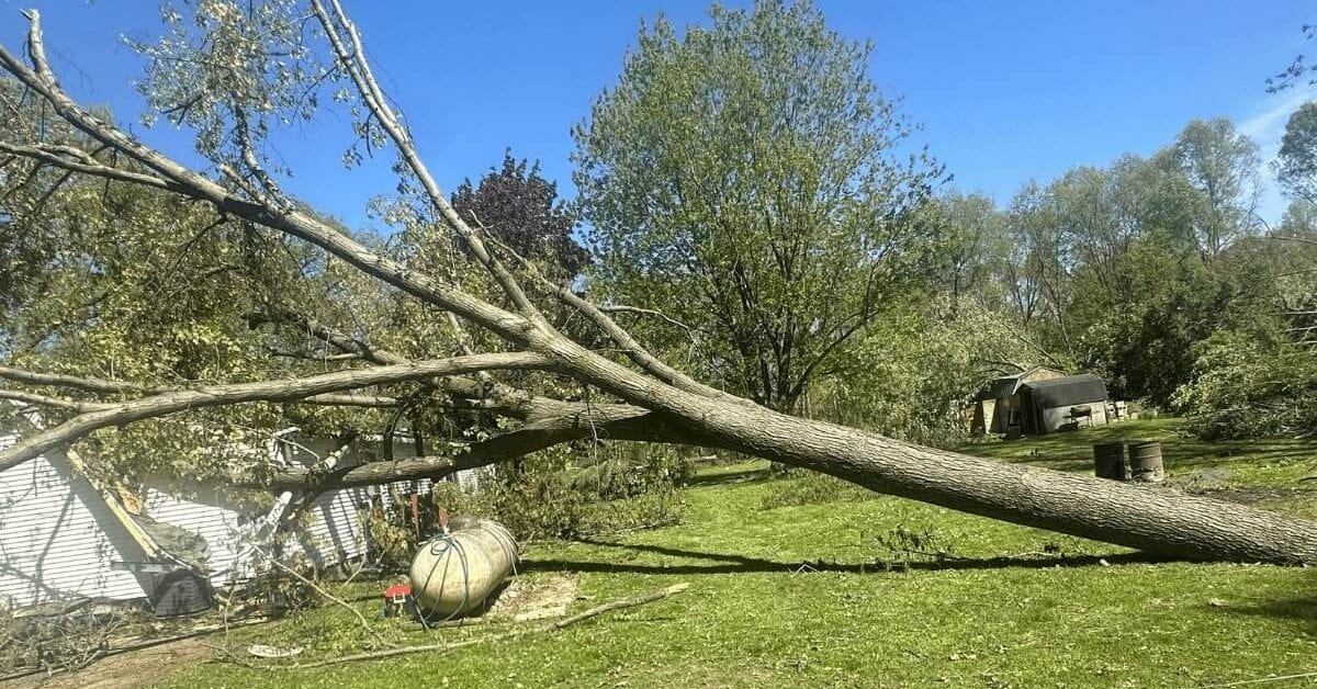 Storm Cleanup Crew Removing Fallen Tree Debris in Kalamazoo, MI
