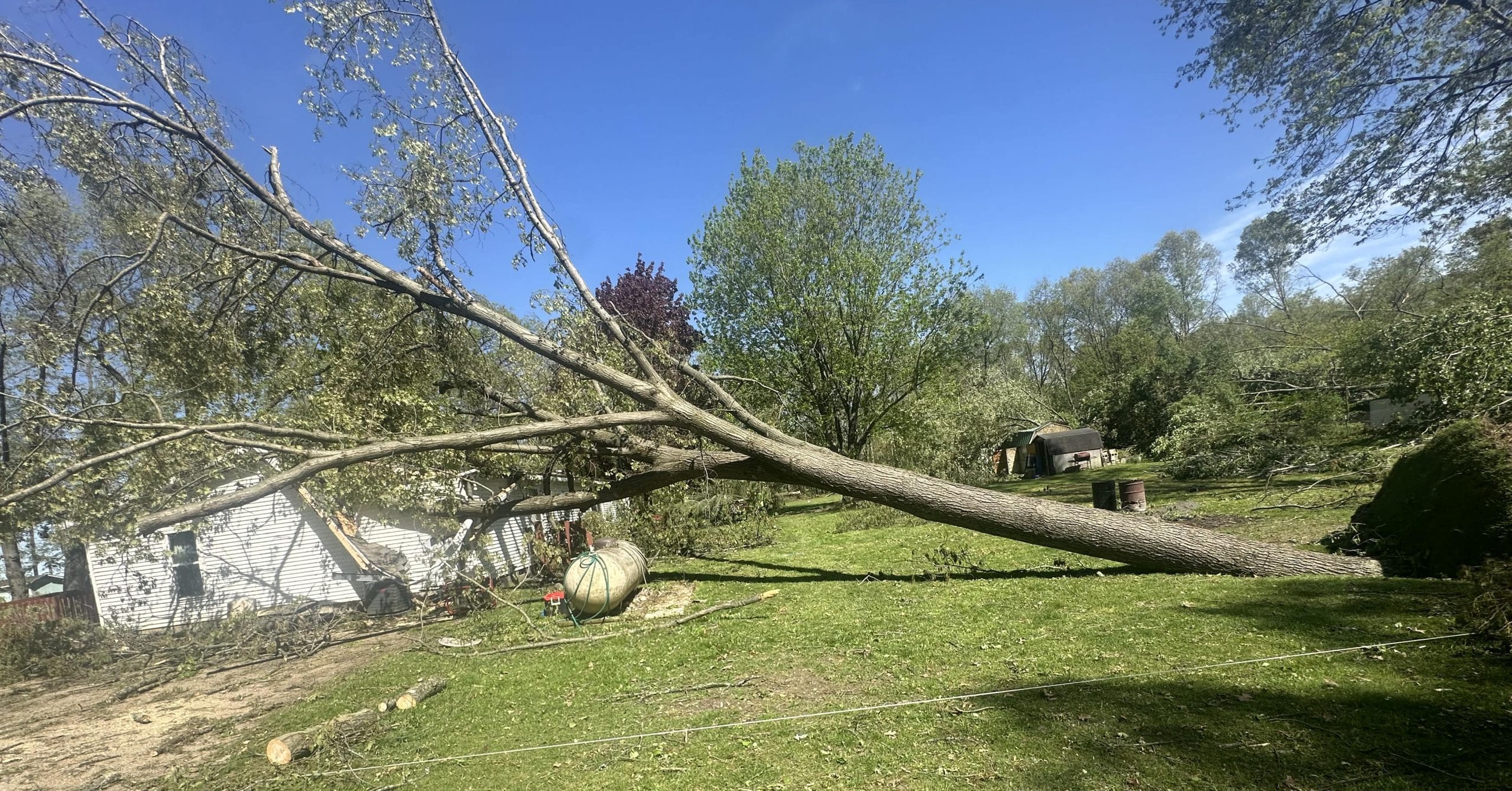 Emergency crew safely removing a tree from a residential power line