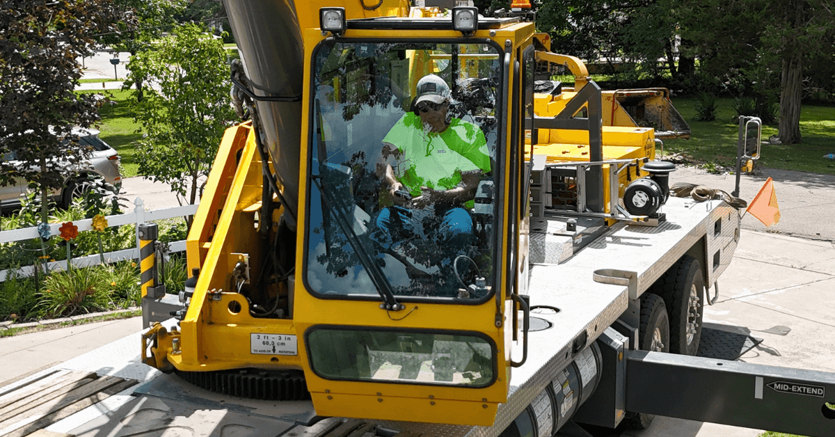 Professional crew handling tree and stump removal in Battle Creek, MI
