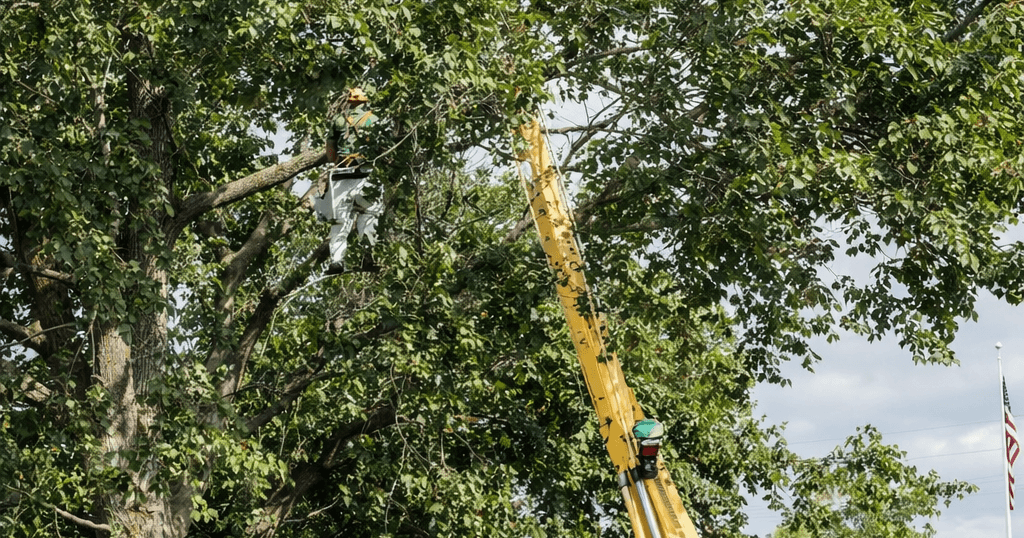 Tree removal crew safely working near a public sidewalk in Battle Creek using a bucket truck