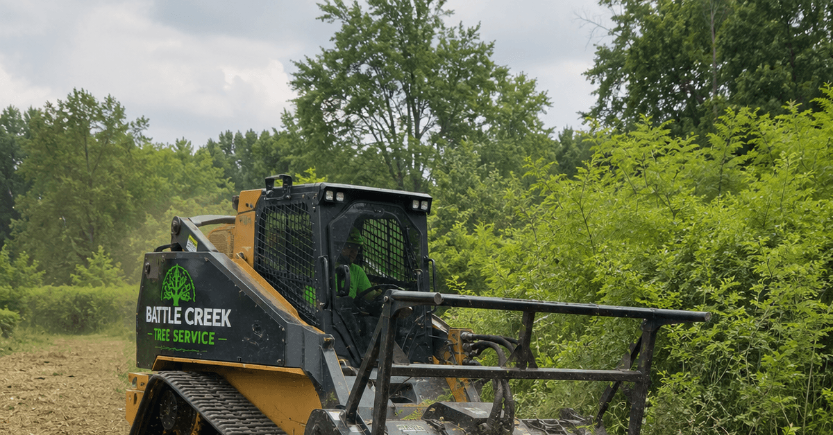 Forestry mulcher clearing Battle Creek invasive brush field