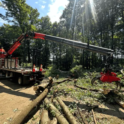 Tree service crew performing storm cleanup near Kalamazoo home