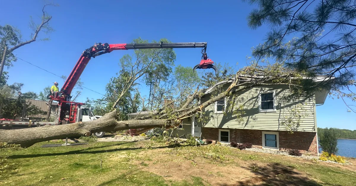 24/7 Emergency Tree Service for Storm Damage & Fallen Trees