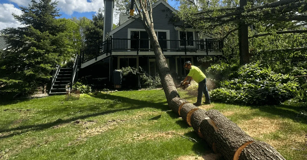 Arborists providing tree service in Galesburg, MI with modern equipment