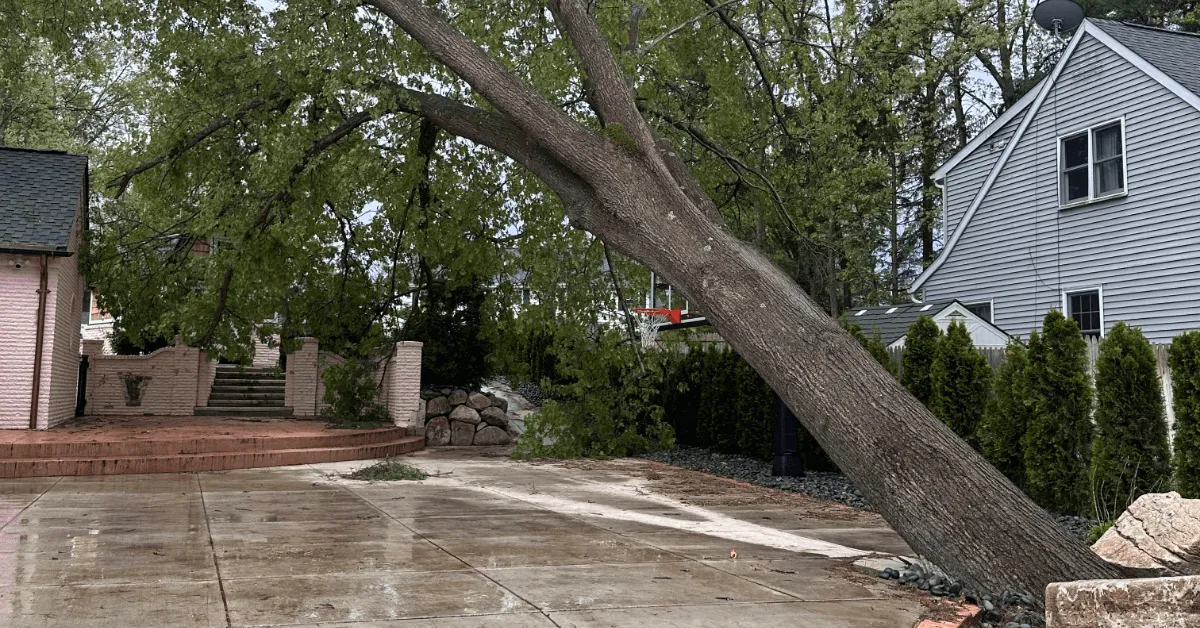 Fallen storm-damaged tree in a Battle Creek, Michigan, neighborhood blocking a residential yard