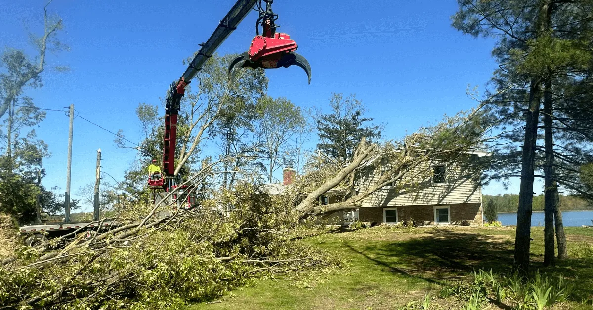 Emergency crew providing storm cleanup and tree removal in Battle Creek, MI