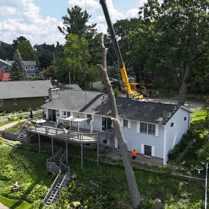 Stump grinding equipment clearing backyard stump in Calhoun County