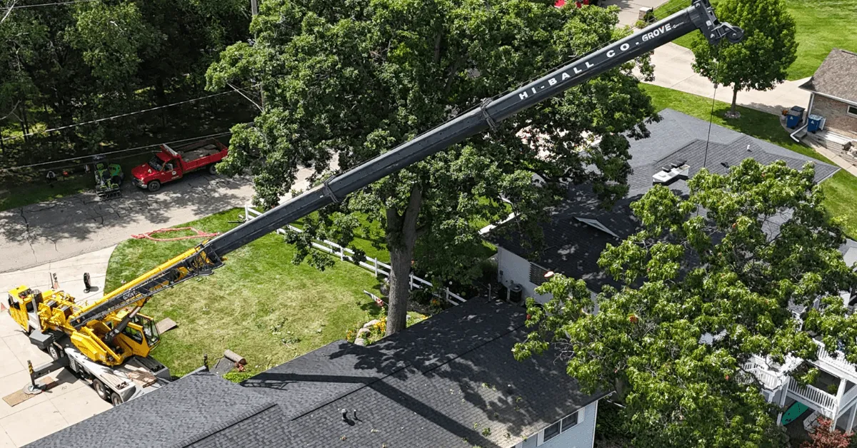 tree service in Fulton, MI