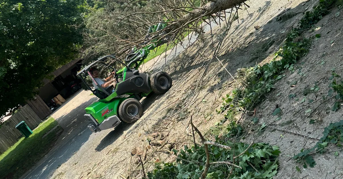 Land Clearing