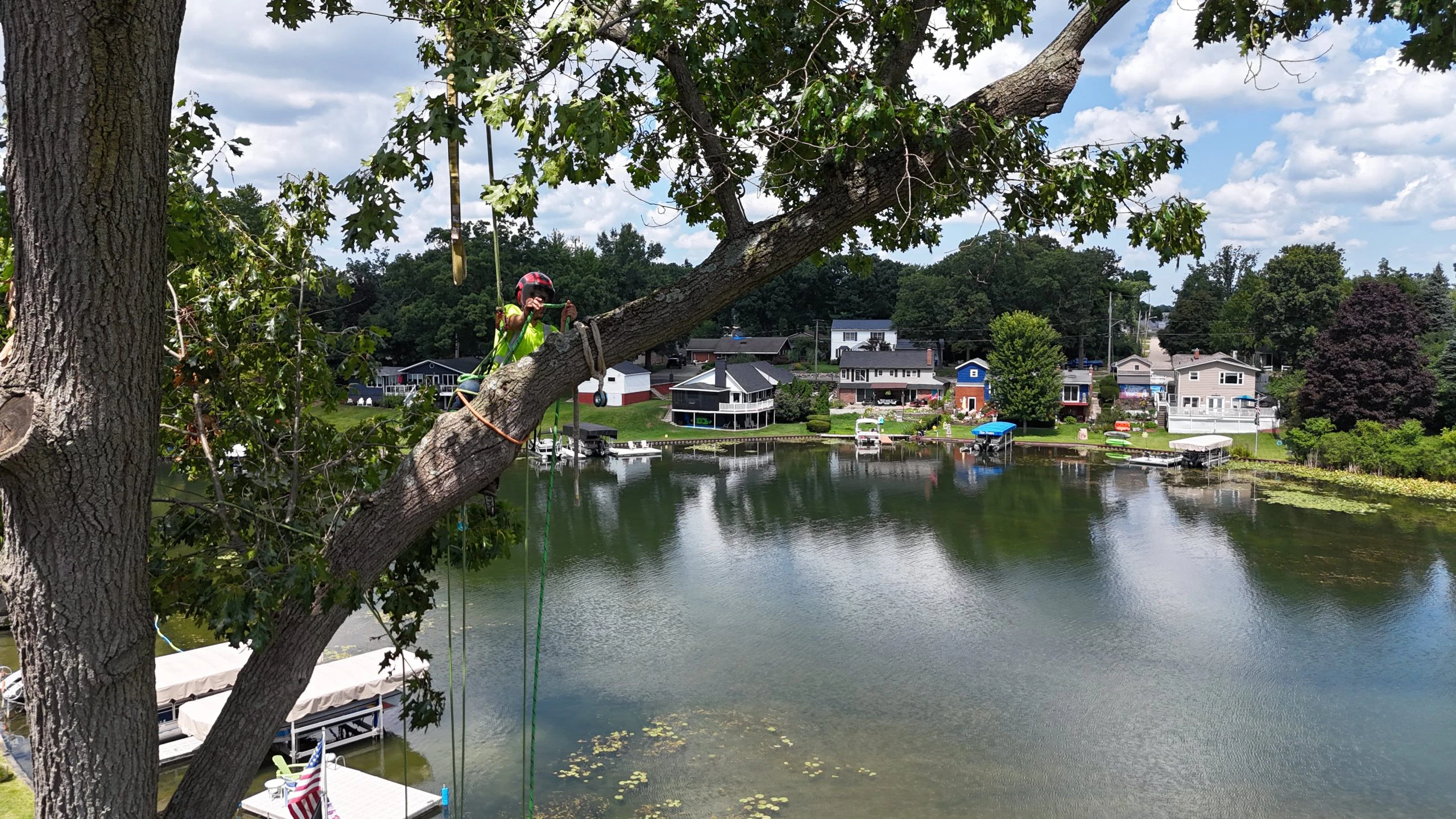 leaning tree in battle creek mi