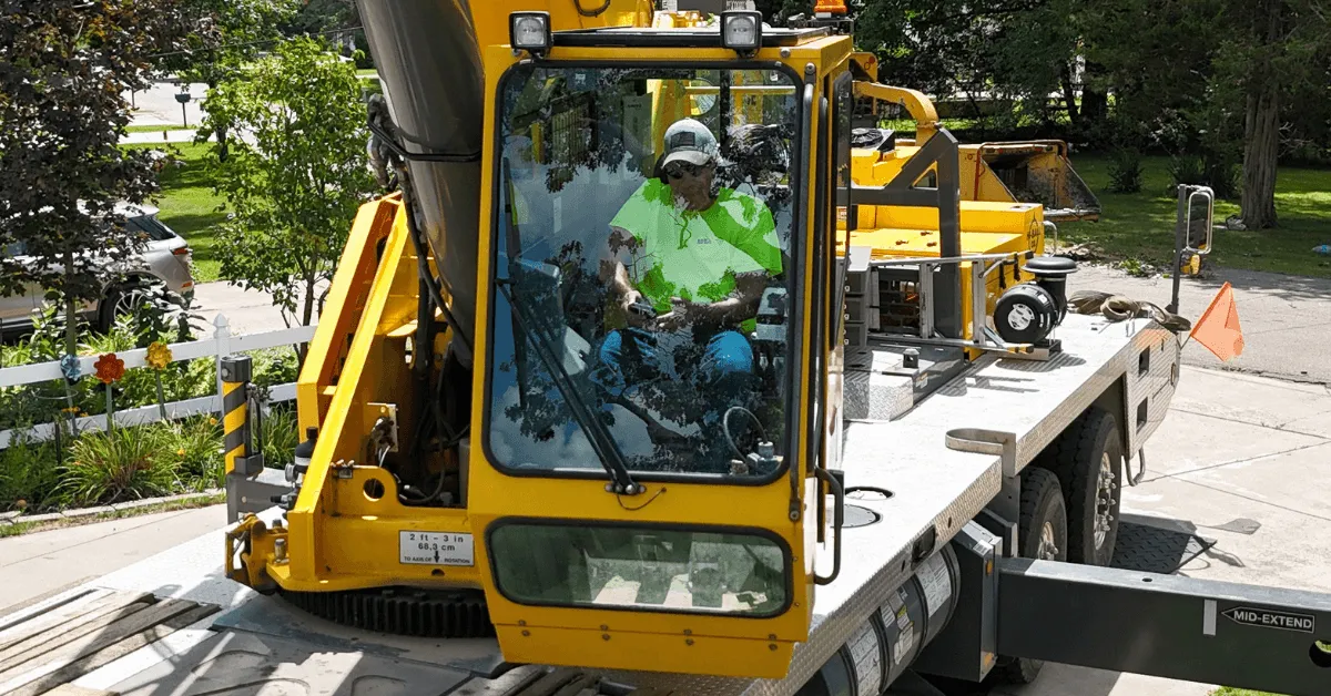 Professional crew handling tree and stump removal in Battle Creek, MI