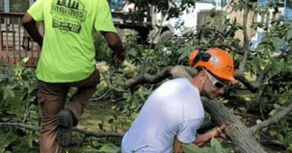Certified arborist pruning a Battle Creek tree to prepare for storm season