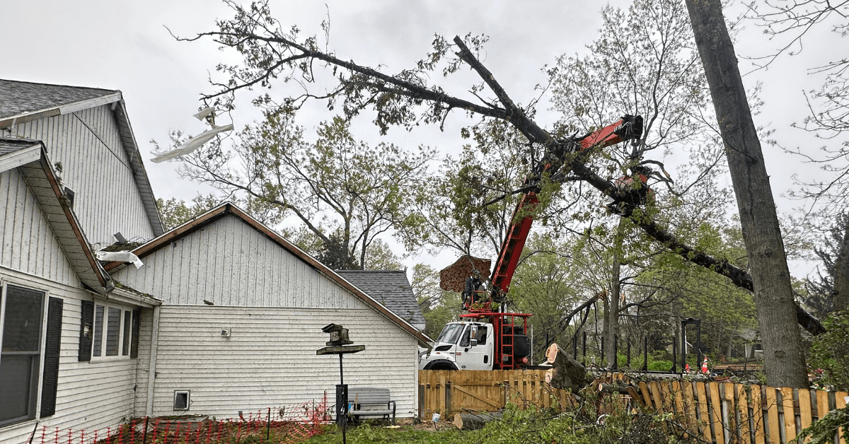 Emergency Tree Service Near Me Kalamazoo
