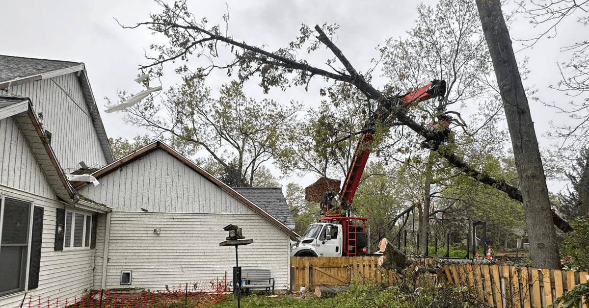 Emergency Tree Service Near Me Kalamazoo