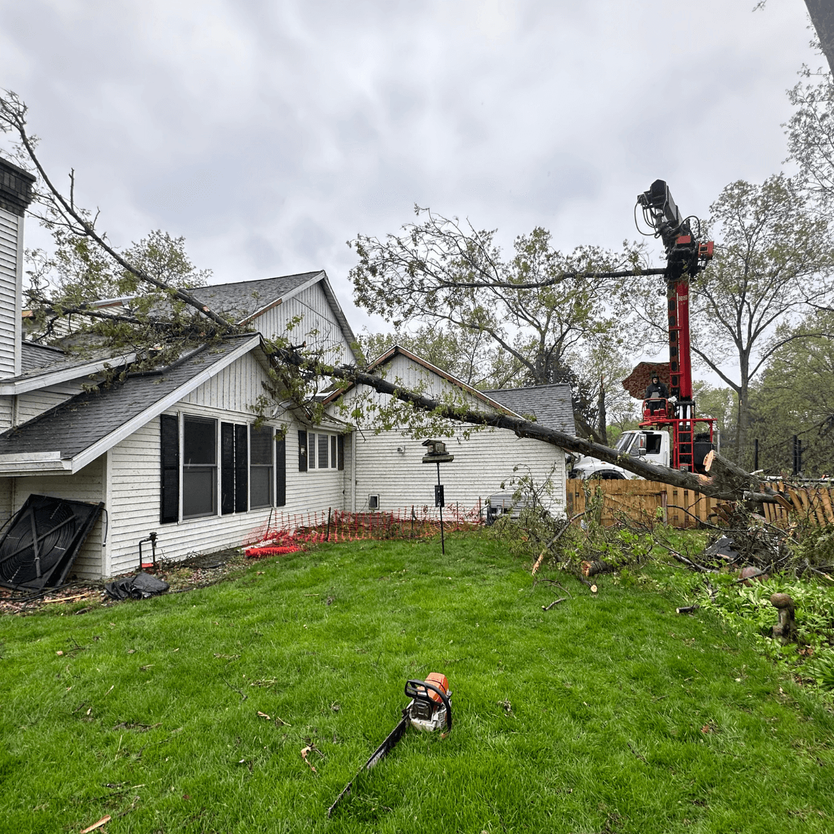 Professional tree service crew working safely on residential and rural trees in Climax, MI