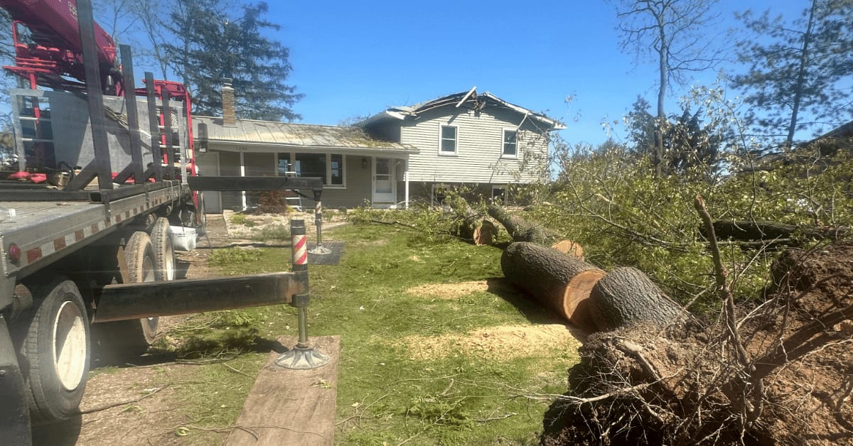 Tree Removal Cost in Kalamazoo, MI: What Really Affects the Price?