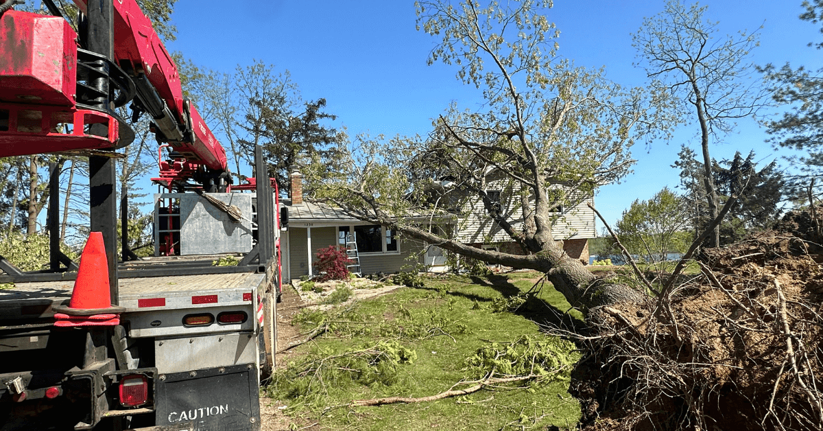 Local arborist trimming a tree in a Kalamazoo residential neighborhood