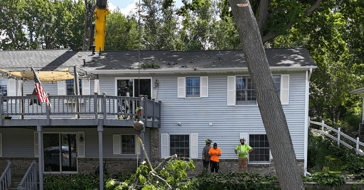 tree service Oshtemo Township, MI: local arborists safely trimming and removing trees along residential streets near Parkview Hills and Quail Run.