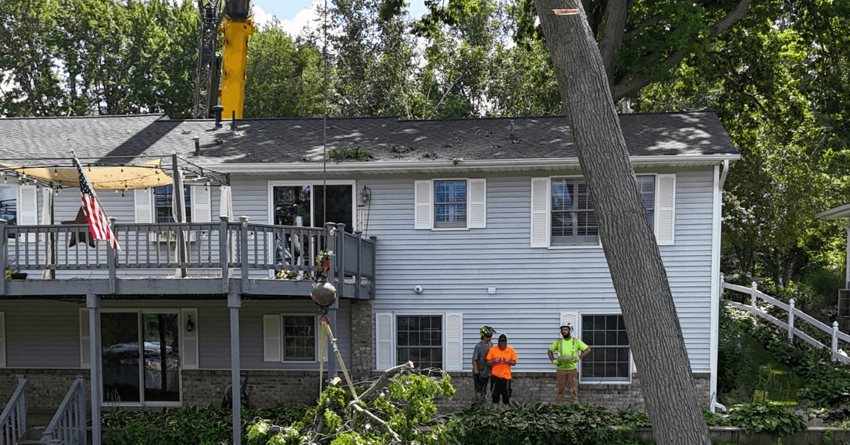 tree service Oshtemo Township, MI: local arborists safely trimming and removing trees along residential streets near Parkview Hills and Quail Run.