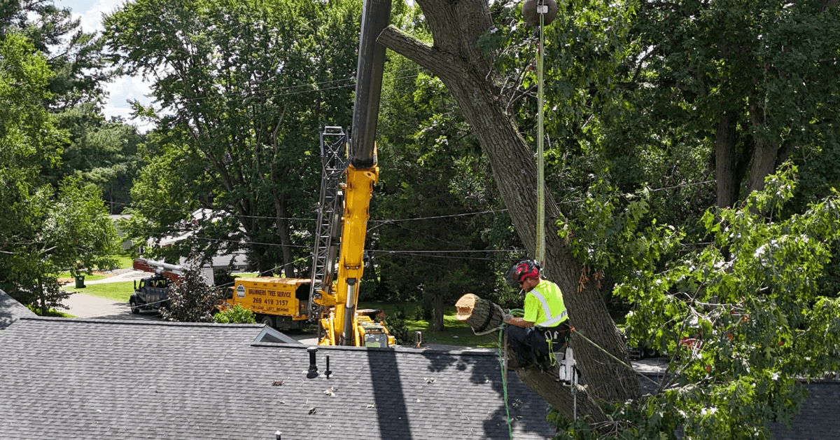 Arborists providing tree service in East Leroy, MI, with modern equipment