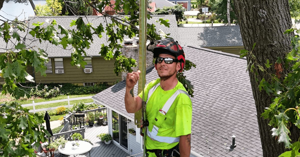 Certified arborist from Brawner’s Tree Service inspecting and pruning trees in Calhoun County, MI, for winter storm preparation.