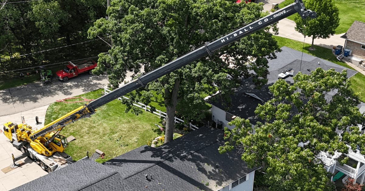 tree service in Fulton, MI