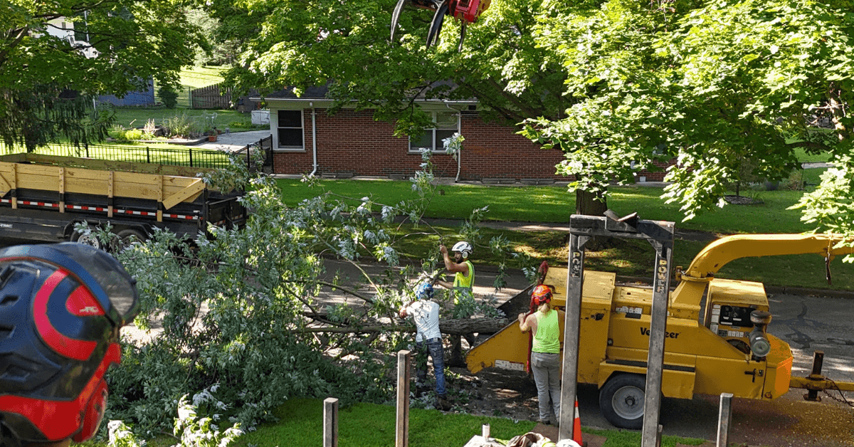 tree service in Union City, MI