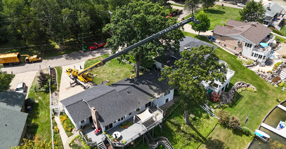 Tree Service Company