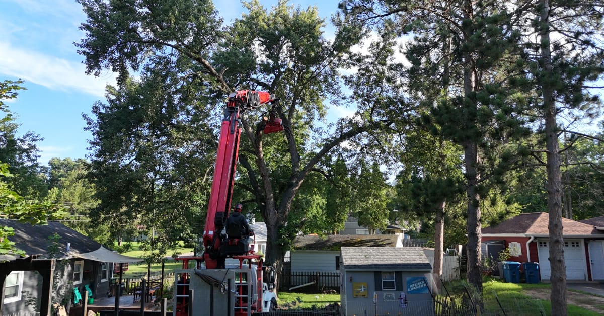 Tree Trimming Around Kalamazoo and Calhoun County, MI